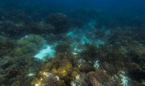 DCIM100GOPROGOPR4858.JPG