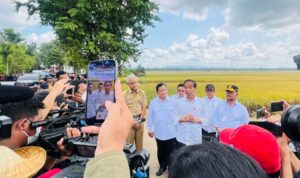 Saat Presiden Jokowi Panen Bersama Menteri Pertanian di Kebumen_1