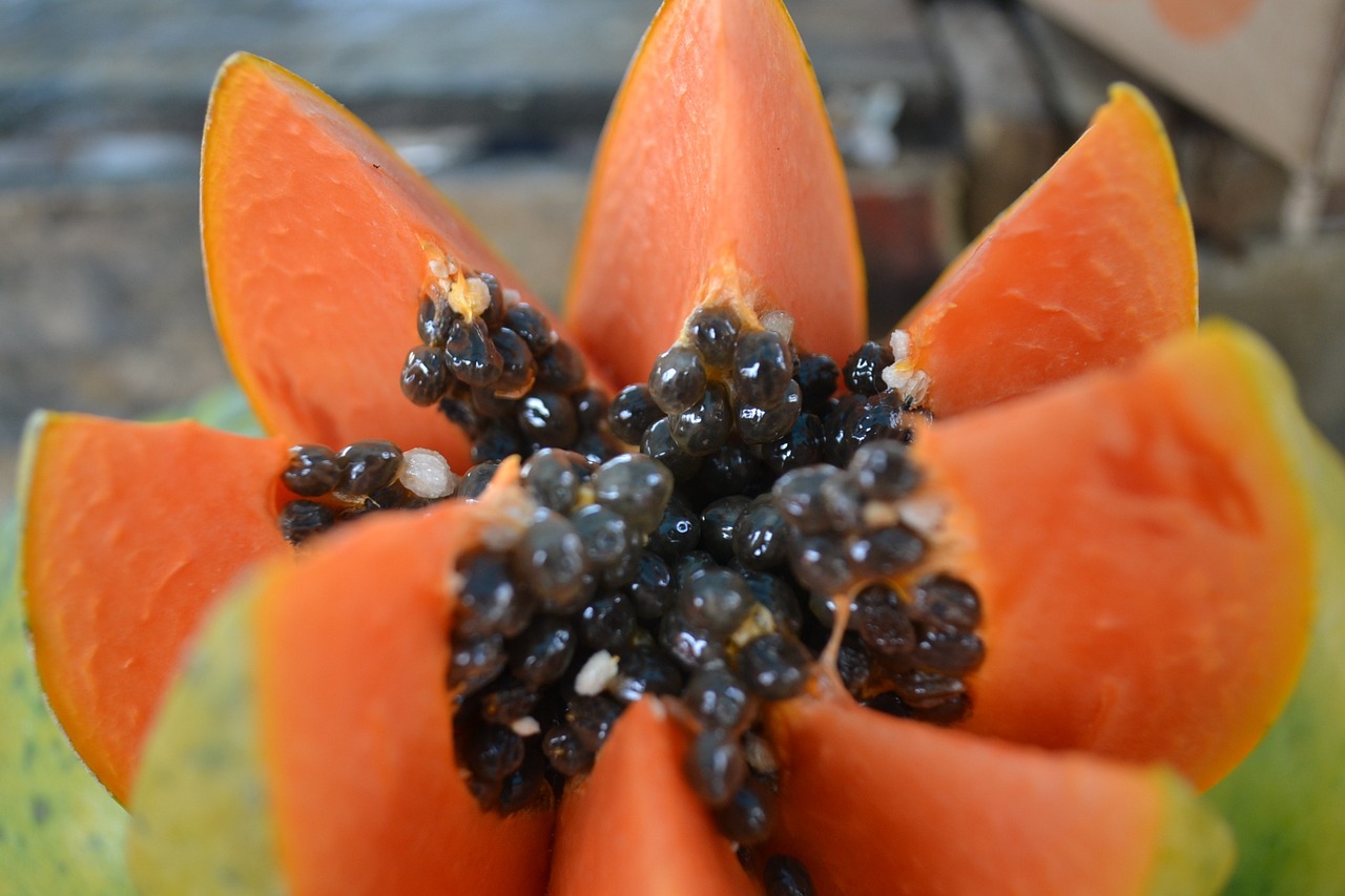 papaya-966322_1280