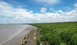 Landscape lokasi pembelajaran rehabilitasi mangrove di Lantebung Kota Makassar